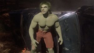 L'Incroyable Hulk : L'Homme Mystère