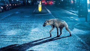 Hiena: El infierno del crimen