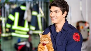 Un amor con siete vidas