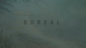 Boreal
