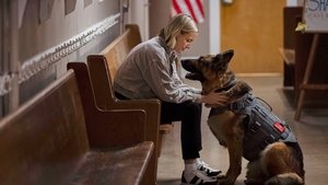 Jazz Ramsey: A K-9 Mystery