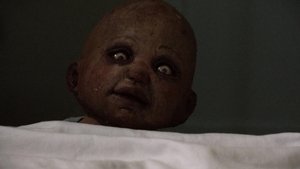 Baby Oopsie