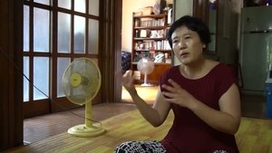 Loyal Citizens of Pyongyang in Seoul
