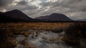 Life Off Grid