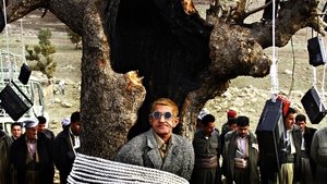سرتە لەگەڵ با