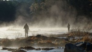 Los padres