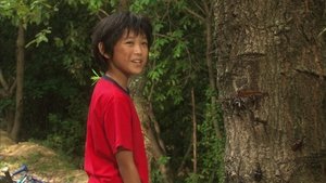 花田少年史　幽霊と秘密のトンネル