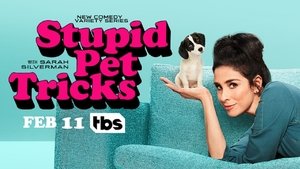 Stupid Pet Tricks