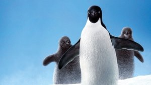 Los pingüinos