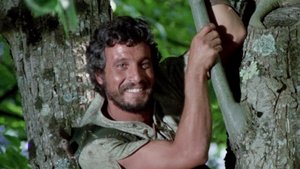 El arquero de Sherwood