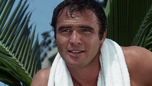 Callejón sin salida