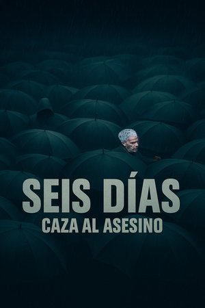 Seis días: Caza al asesino