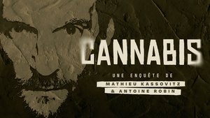 Cannabis : Une enquête de Mathieu Kassovitz et Antoine Robin