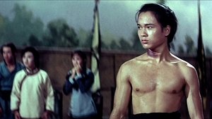 The Prodigal Boxer