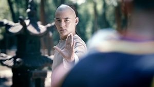 Master of Shadowless Kick: Wong Kei-Ying