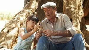 El Olivo