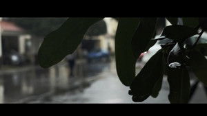 Un Dia Solitario en Invierno