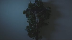 Bless Me Father