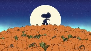 Ésta es la gran calabaza, Charlie Brown