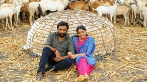கிடாரி