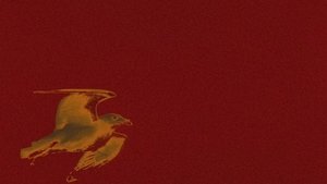 The Albatross