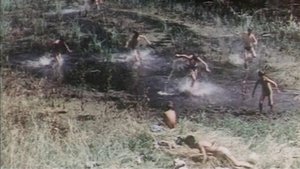 The Chant of Tiber’s Branches