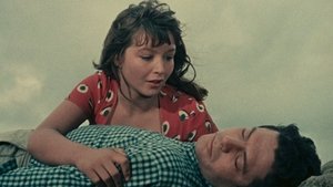 Days of Love