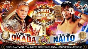 NJPW Wrestle Kingdom 14: Night 2