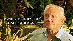 Kingdom of Plants