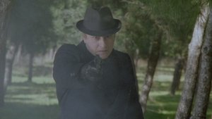Night of the Executioner