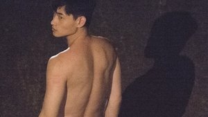 Thirty Years of Adonis