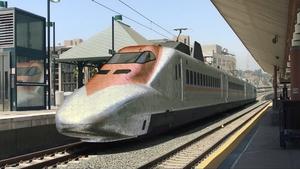 Tren bala abatido