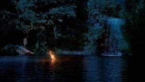 El canto de la selva