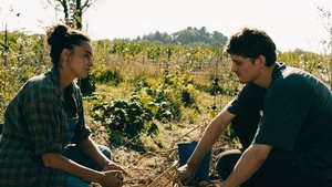 Avant l'effondrement