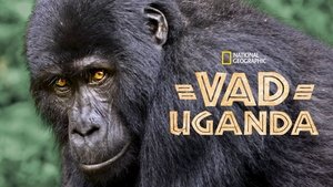 Wild Uganda