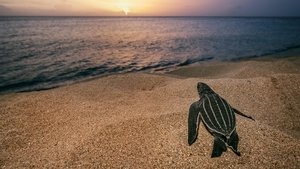 Sea of Hope: America's Underwater Treasures
