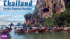 Tailandia salvaje