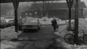 The Kiss of Her Flesh