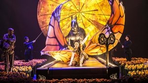Cirque du Soleil: Luzia