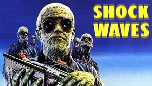 Shock Waves