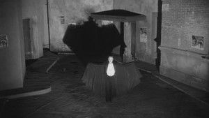 The Vampire's Coffin