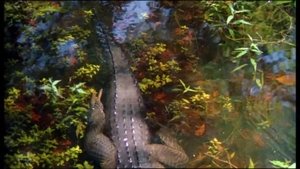 Prowlers of the Everglades