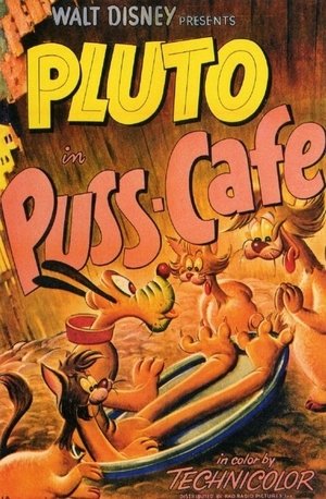 Pluto y los gatos