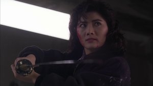 皇家師姐５：中間人