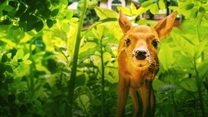 Backyard Wilderness