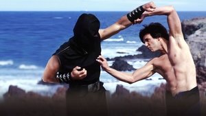 Kung Pow: Enter the Fist