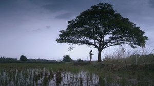 പ്രാവിൻകൂട് ഷാപ്പു