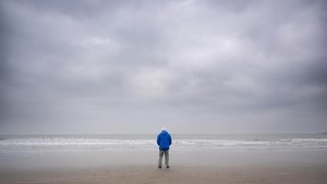 Ocean with David Attenborough