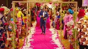 The Wedding Party