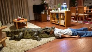 家に帰ると妻が必ず死んだふりをしています。